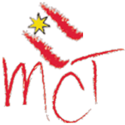 Männerchor Thun