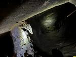 IMG-20250825-WA0055.jpg