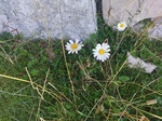 IMG_20250824_103905_1.jpg